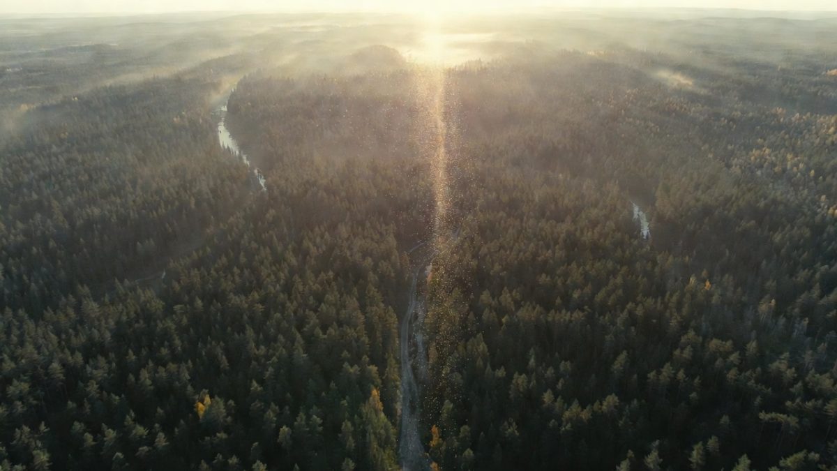 Polut yhtyvät yhdeksi suunnaksi — Mainostoimisto Kompassi