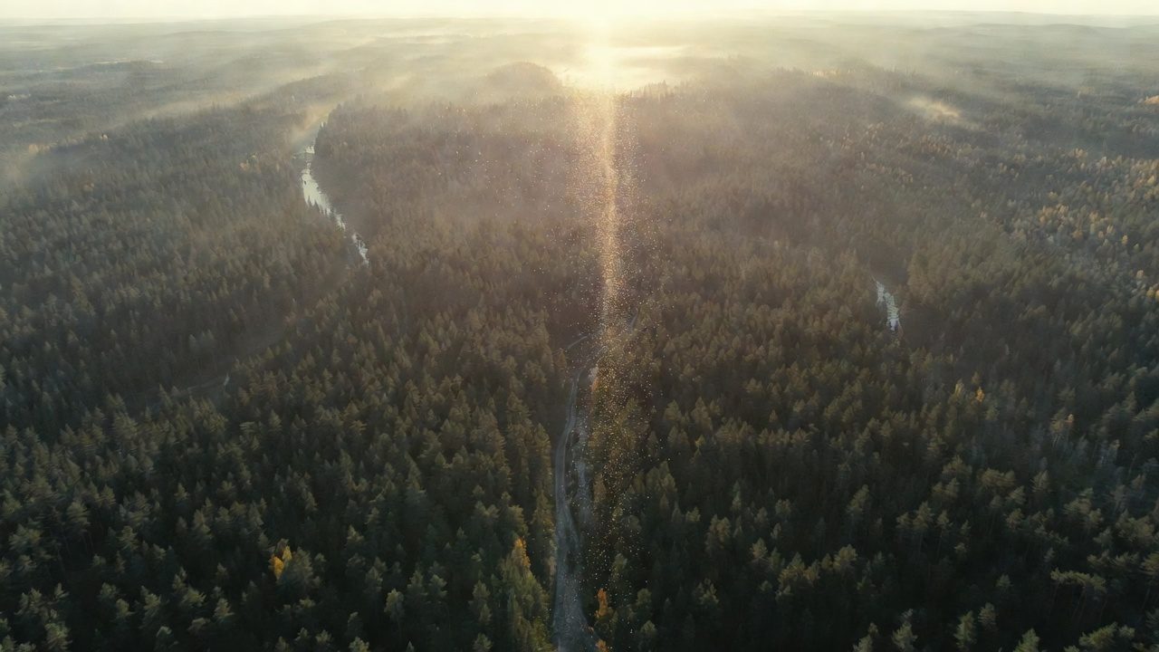 Polut yhtyvät yhdeksi suunnaksi — Mainostoimisto Kompassi
